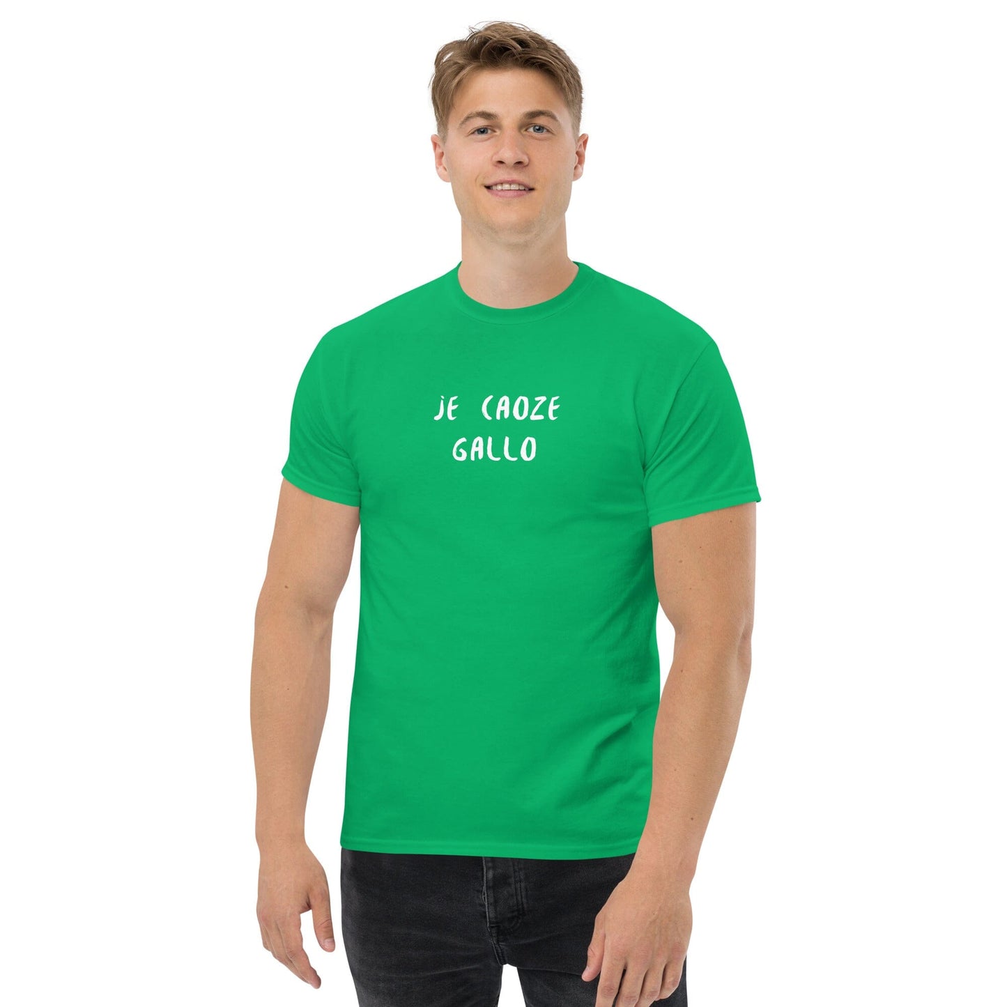 T-shirt homme je caoze gallo t-shirt Bevet Breizh Vert menthe S