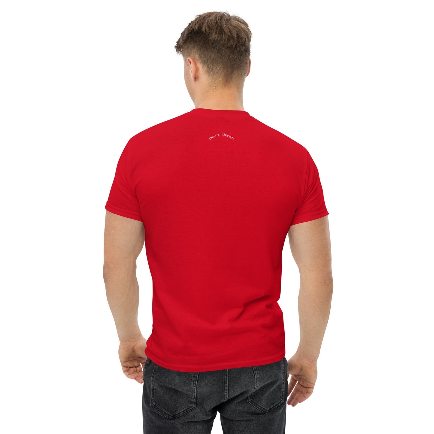 T-shirt homme Nantt, Naoned, Nantes BZH Bevet Breizh